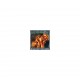 Thunderstone