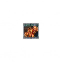 Thunderstone