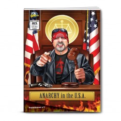 One % - anarchy in the USA