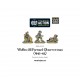 bolt action - Waffen - SS FOO ( 1943-45 )