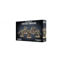 Blightlord terminators 