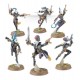 Harlequin troupe