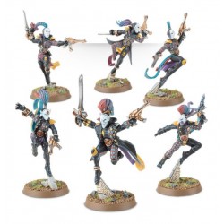 Harlequin troupe
