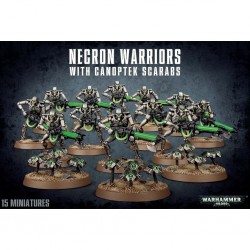Necron warriors