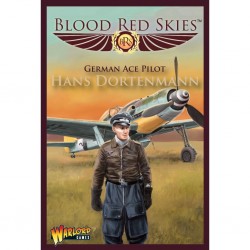 Blood red skies german ace pilot hans dortenmann