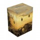 Box UG plaine 2