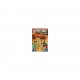 Escape book jr - vol au musee