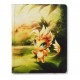 Portfolio - dragon shield card codex 360 dorna