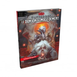 Dungeons & dragons old - 5 old - waterdeep le donjon du mage dément
