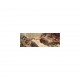 Puzzle - michelangelo - creazione di adamo 1000pcs