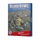 Blood bowl old - goblin pitch