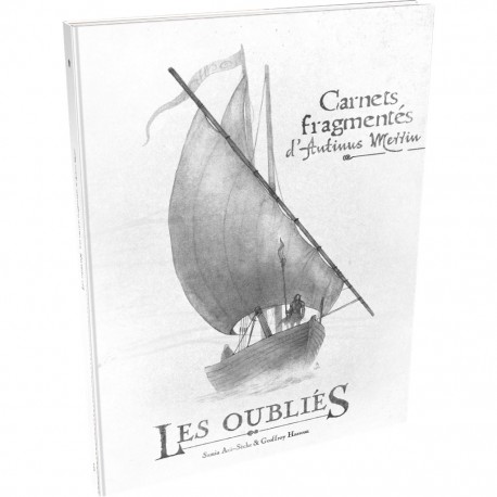 Oublies - carnets fragmentes d'antinus merrin