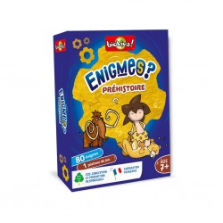 Enigmes - prehistoire