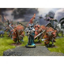 Conquest - spires - merchant prince character