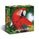 Life of the amazonia   FR