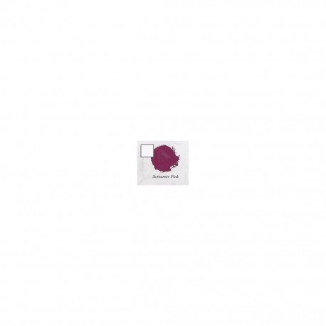 SCREAMER PINK (6-PACK)                  