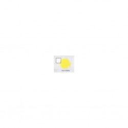 YRIEL YELLOW (6-PACK)                   