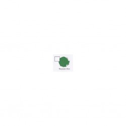 WARPSTONE GLOW (6-PACK)                 