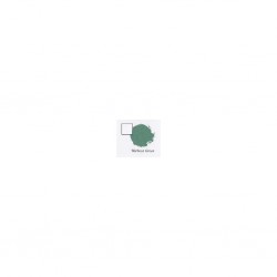 WARBOSS GREEN (6-PACK)                  