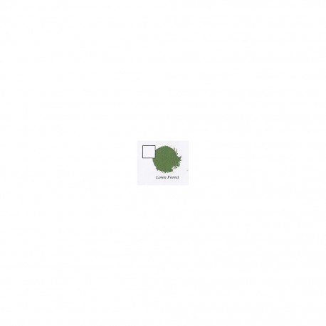 LOREN FOREST (6-PACK)                   