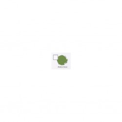 STRAKEN GREEN (6-PACK)                  
