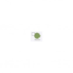 ELYSIAN GREEN (6-PACK)                  