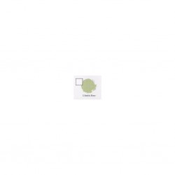 USHABTI BONE (6-PACK)                   