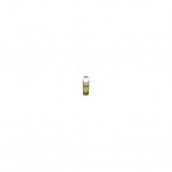 THE ARMY PAINTER COLOUR PRIMERS FUR BROWN