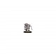 HORDES SKORNE AGONIZER  SOLO 