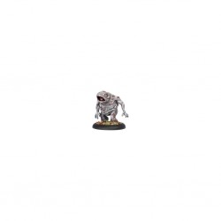 HORDES SKORNE AGONIZER  SOLO 