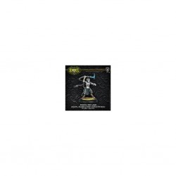 HORDES LEGION OF EVERBLIGHT FYANNA THE LASH BLIHGTED NYSS CHARACTER SOLO