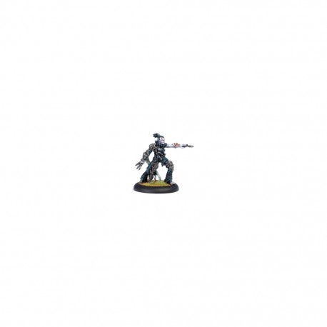 HORDES LEGION OF EVERBLIGHT SAERYN OMEN OF EVERBLIGHT WARLOCK 