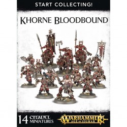 Khorne bloodbound star collecting 