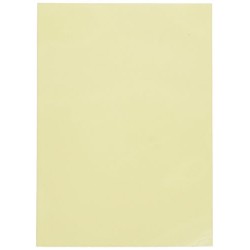 Dragon shield matte ivory