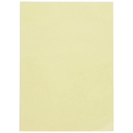 Dragon shield matte ivory