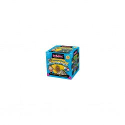 Brain Box Voyage autour du monde 
