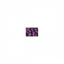 Chessex gemini rose & violet 10d10