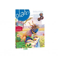 Plato n° 94 