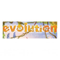 Evolution - extension